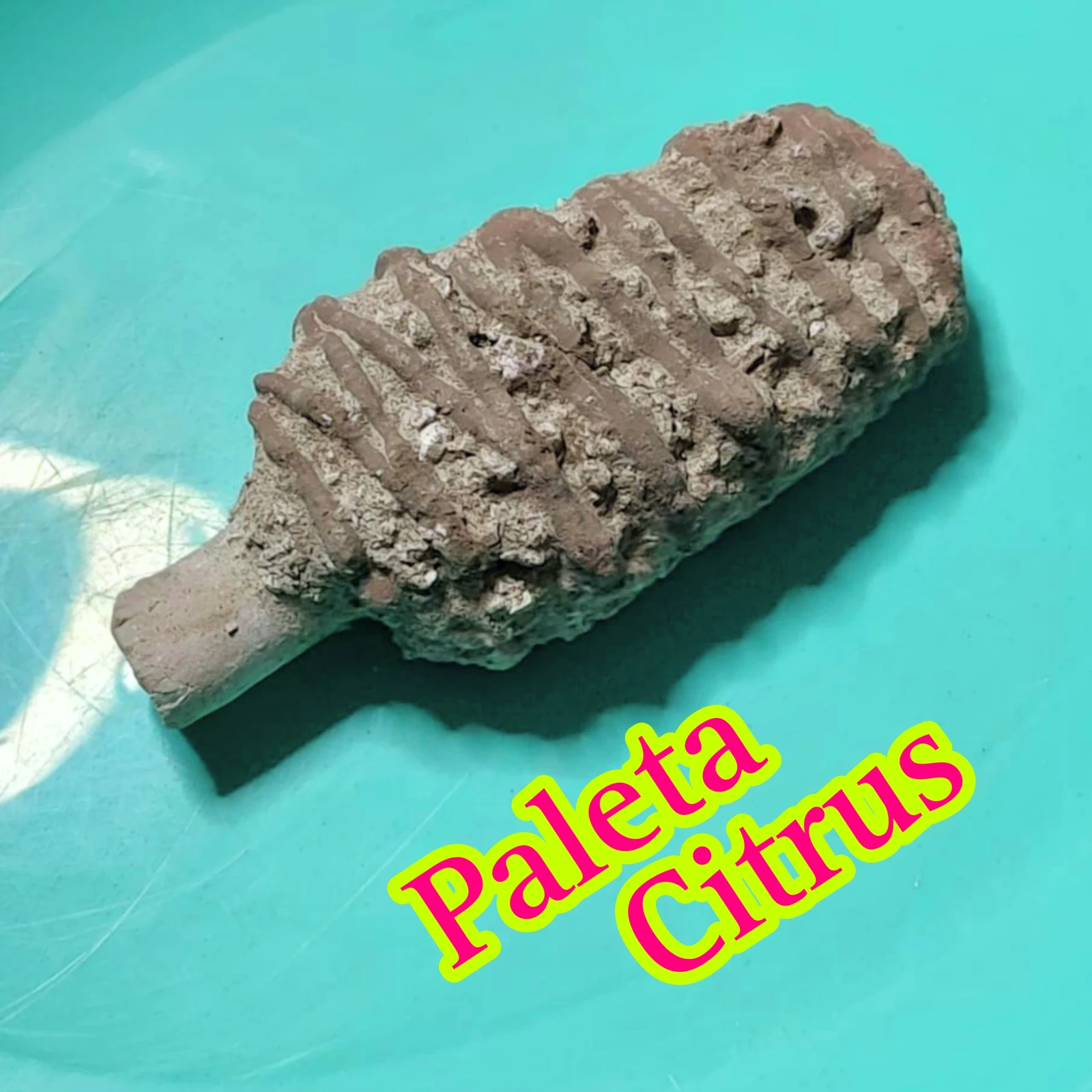 Paleta citrus