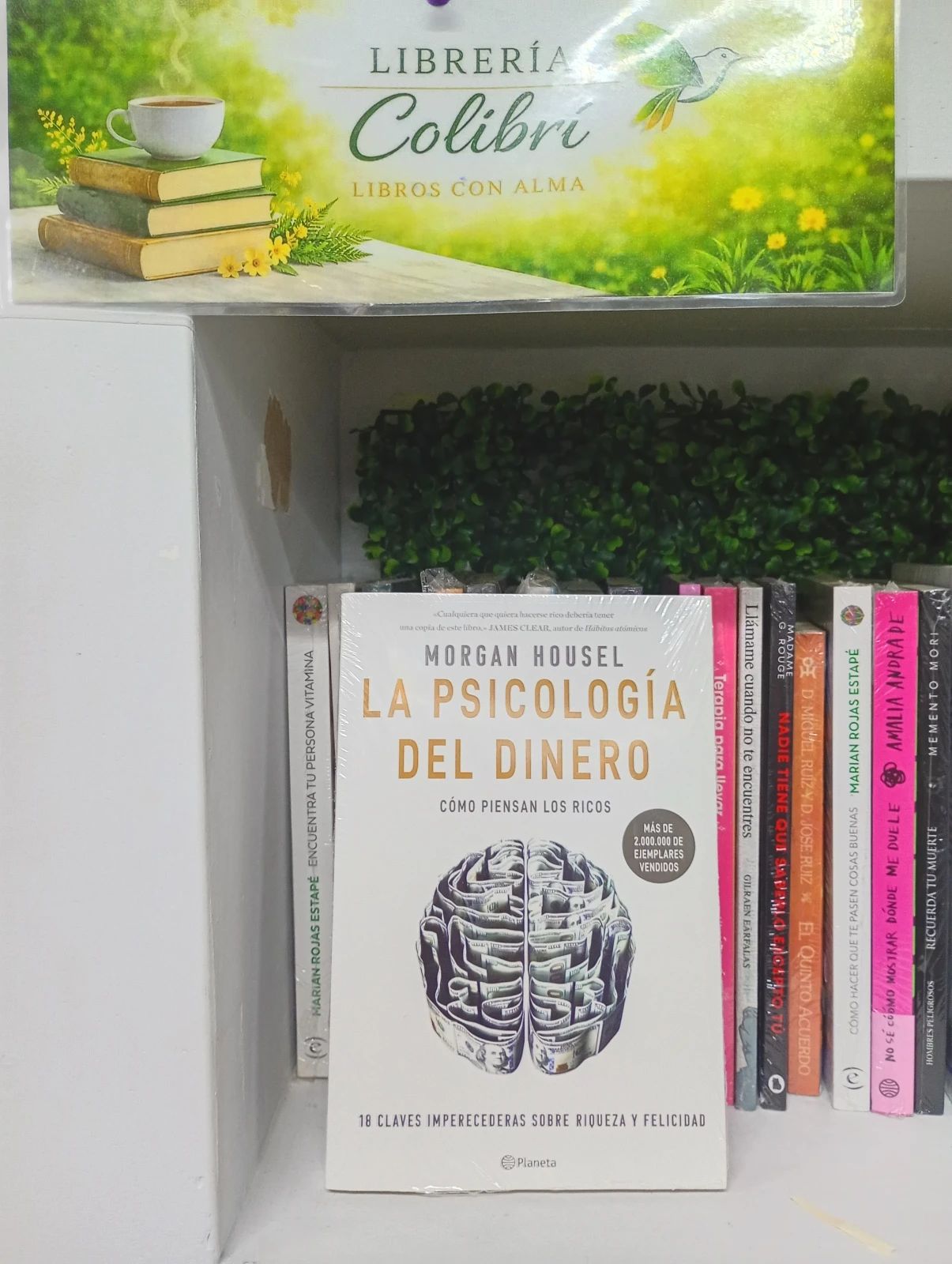 La psicologia del Dinero 