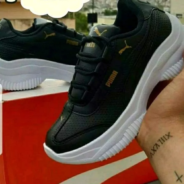 Puma 4