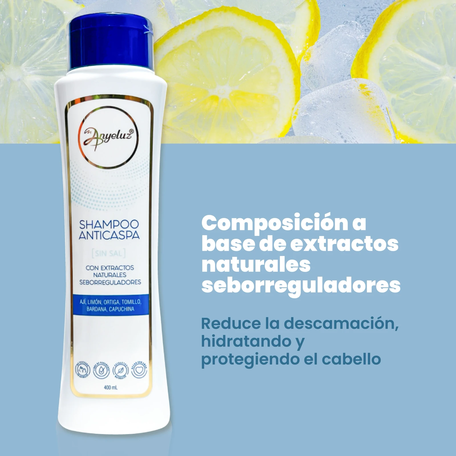 Shampoo anti caspa ANYELUZ 