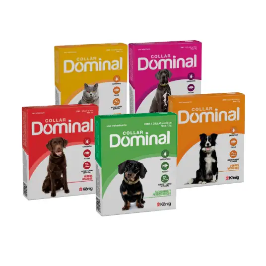 COLLARES ANTIPULGAS PARA PERROS Y GATOS