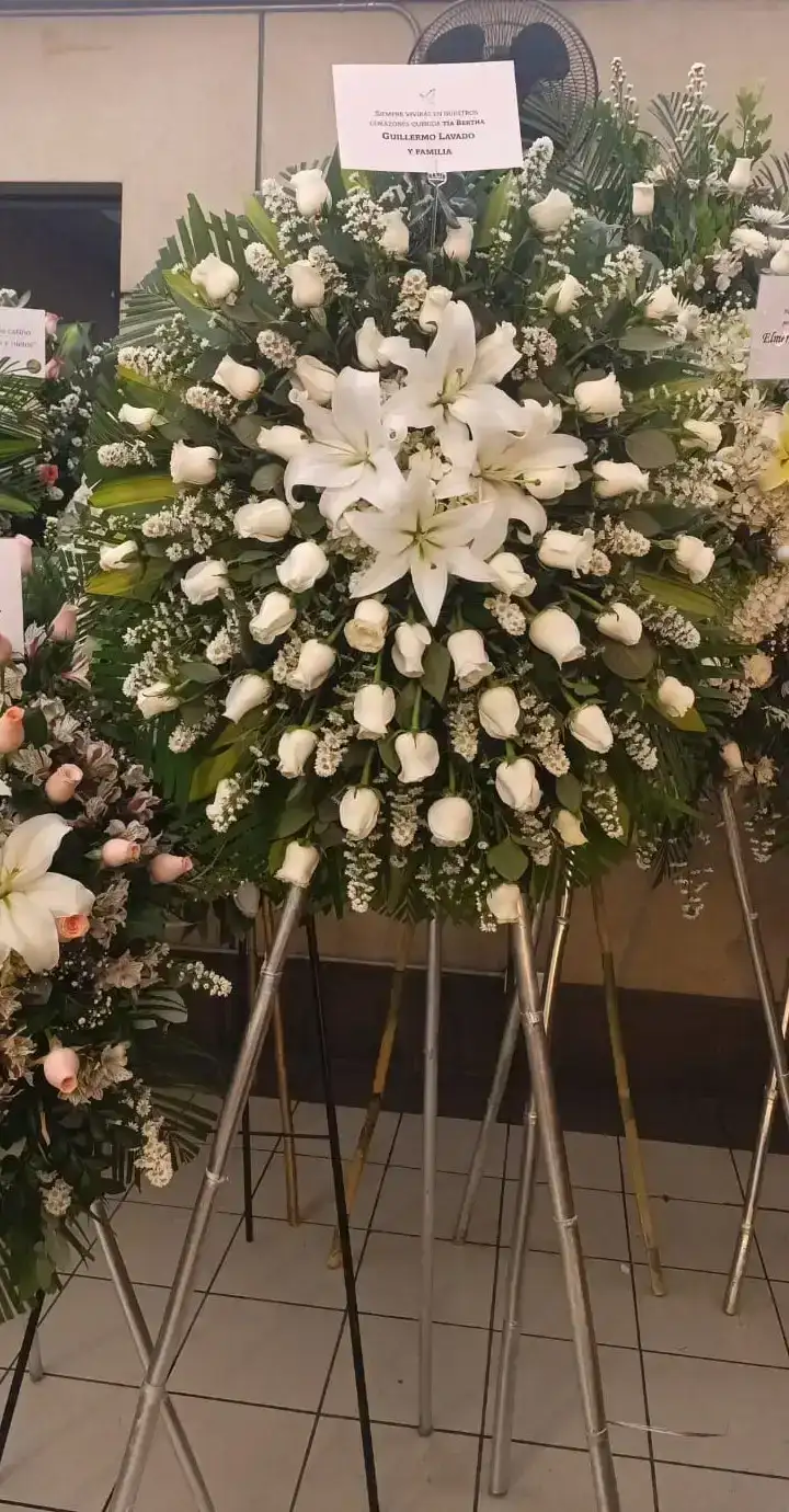 Tripo blanco