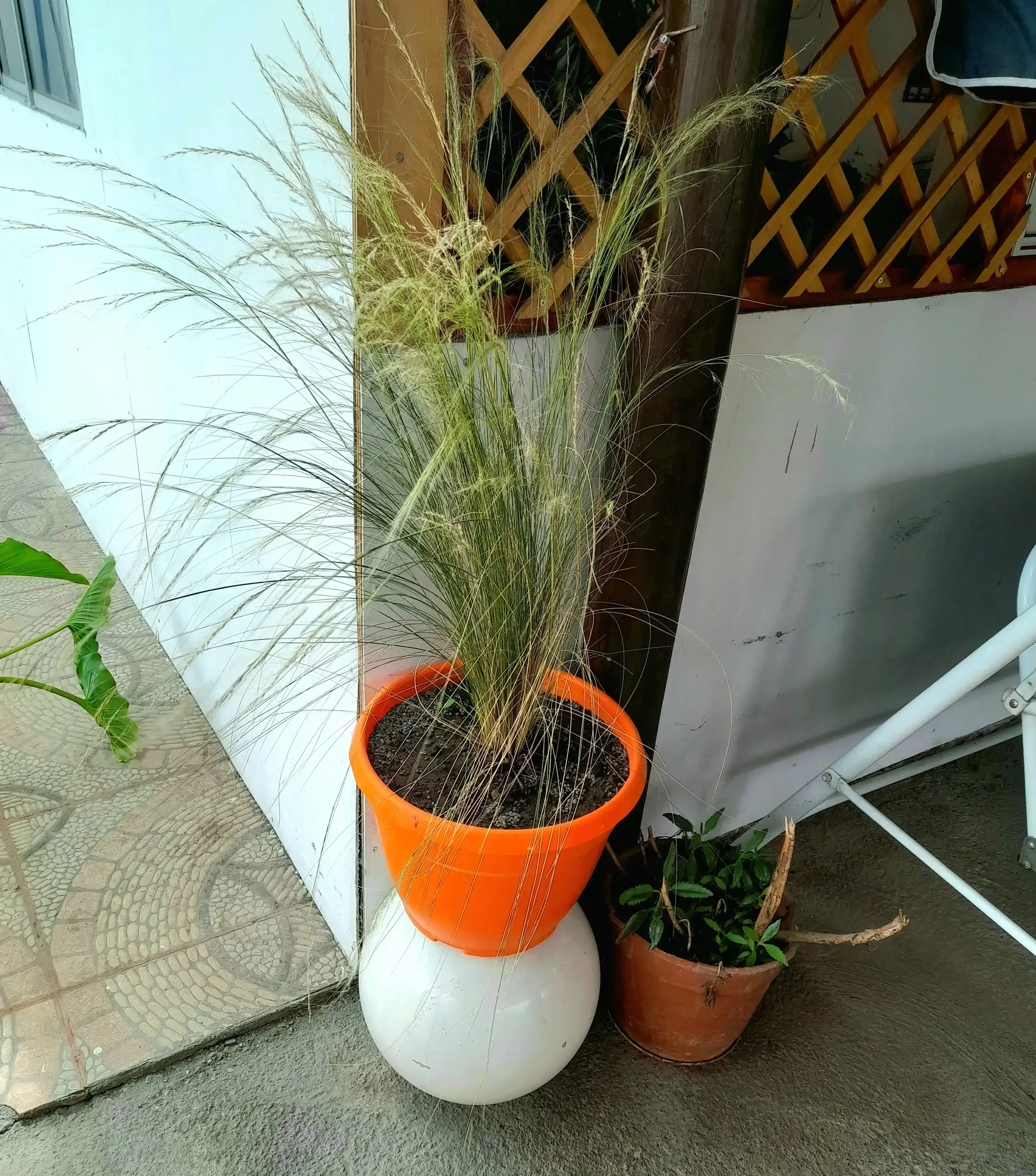 Estipa 2