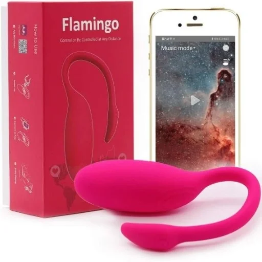Flamingo Magic Motion