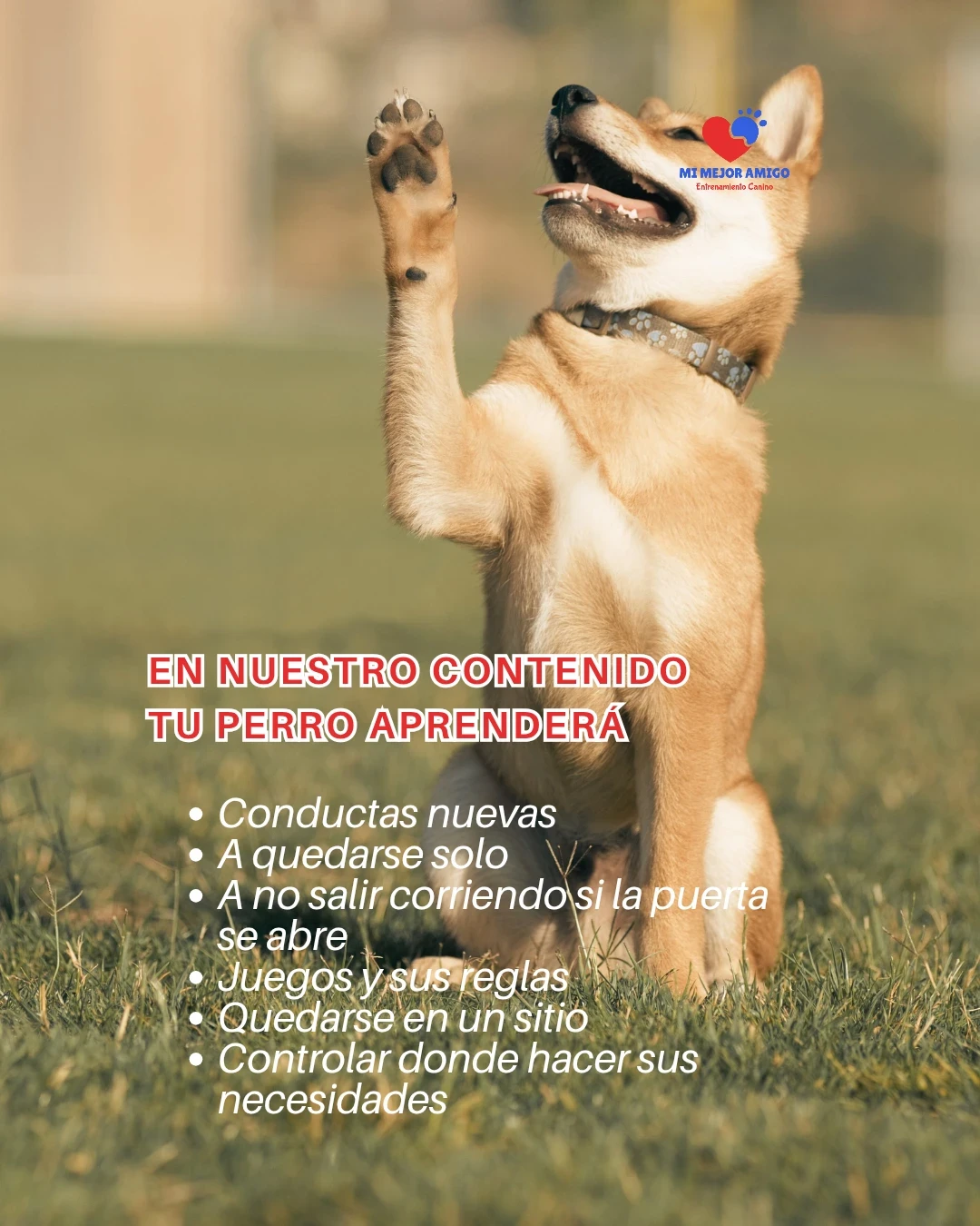 CURSO ADULTOS 5