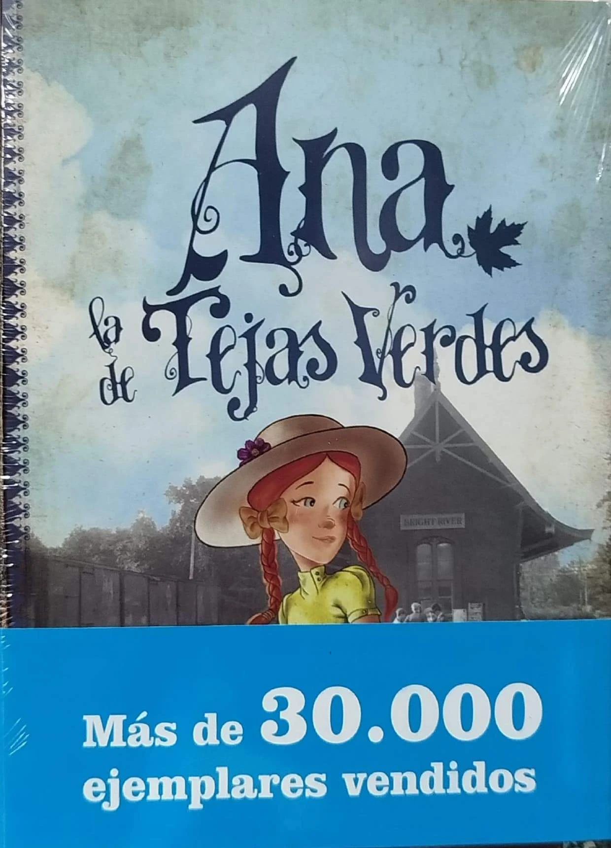 ANA LA DE TEJAS VERDES 
