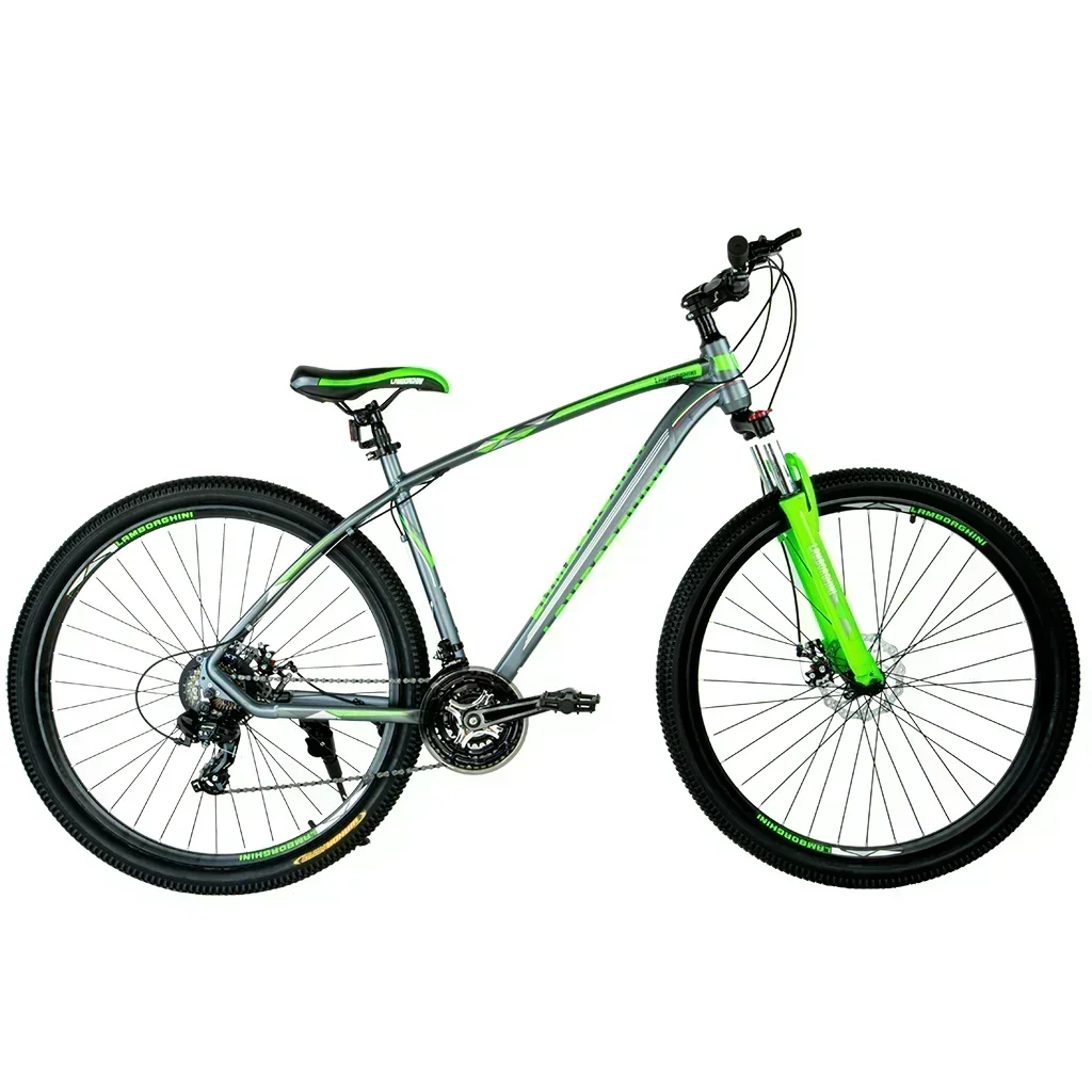 Lamborghini Rod. 29 Gris / Verde Talle L 2