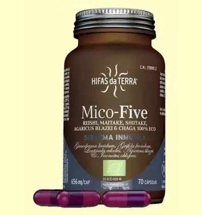 MICO-FIVE