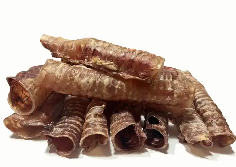 TRAQUEA DE RES DESHIDRATADA