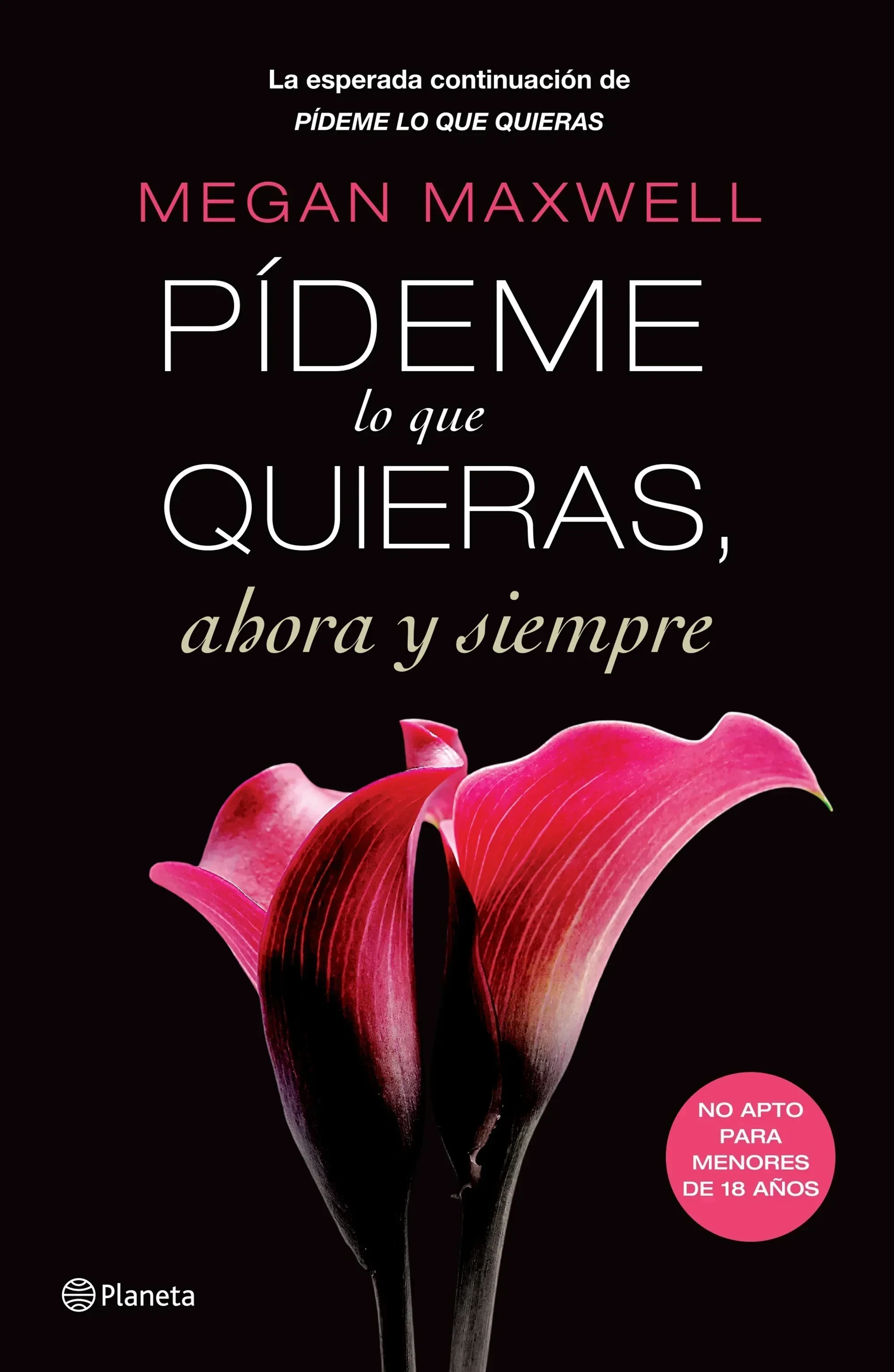 PIDEME LO QUE QUIERAS 2 AHORA Y SIEMPRE 