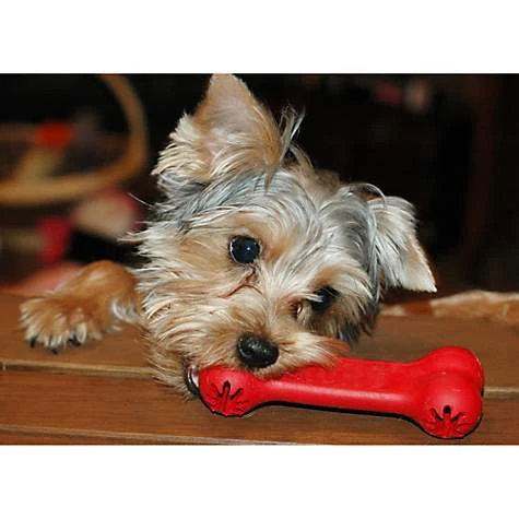 KONG Goodie Bone M 3