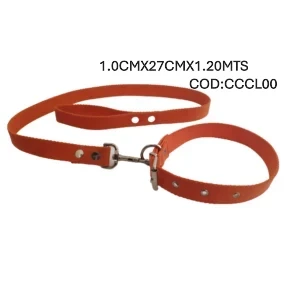CONJUNTO T0 COLLAR+CORREA