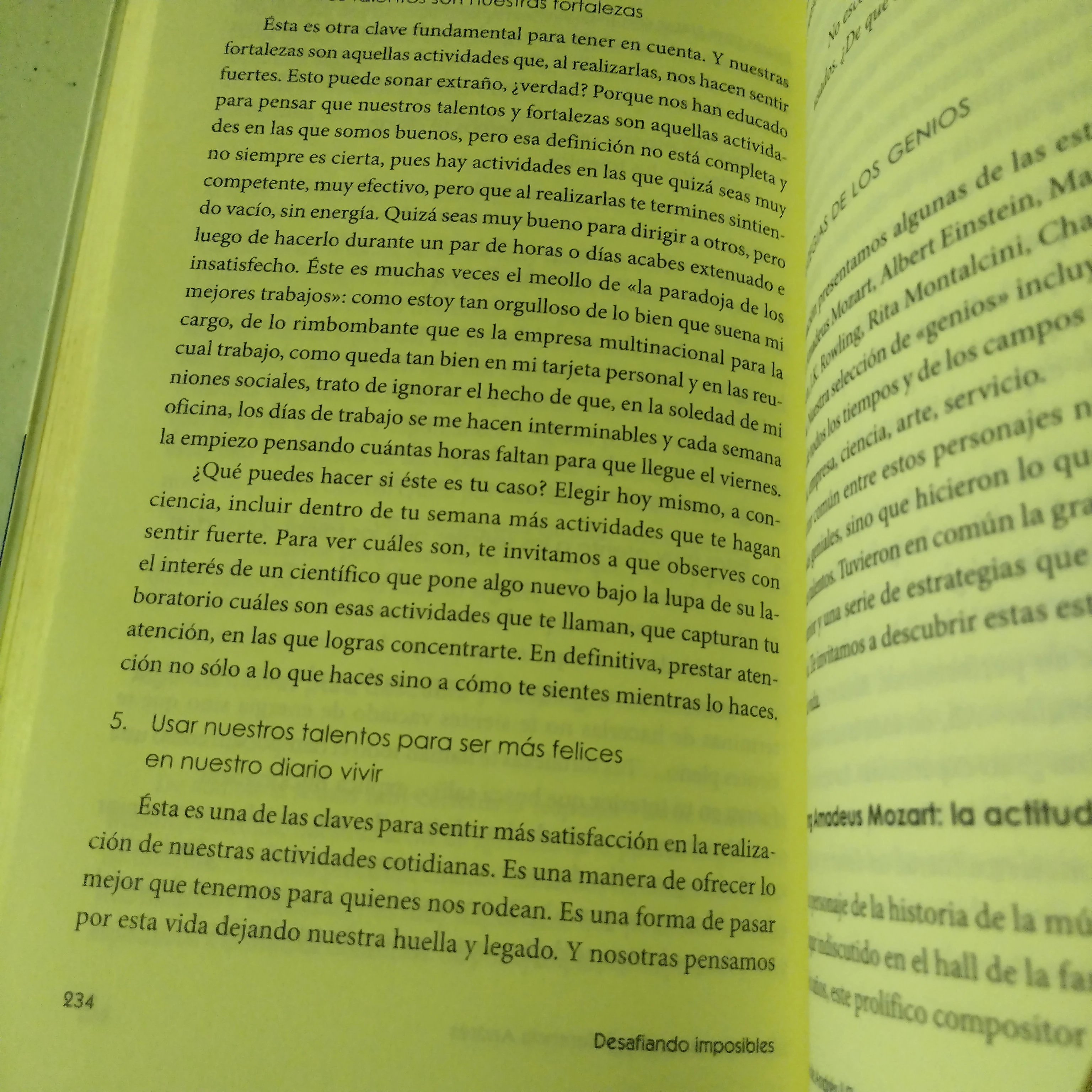 Desafiando imposibles, Verónica de Andres, Florencia Andres, usado 3