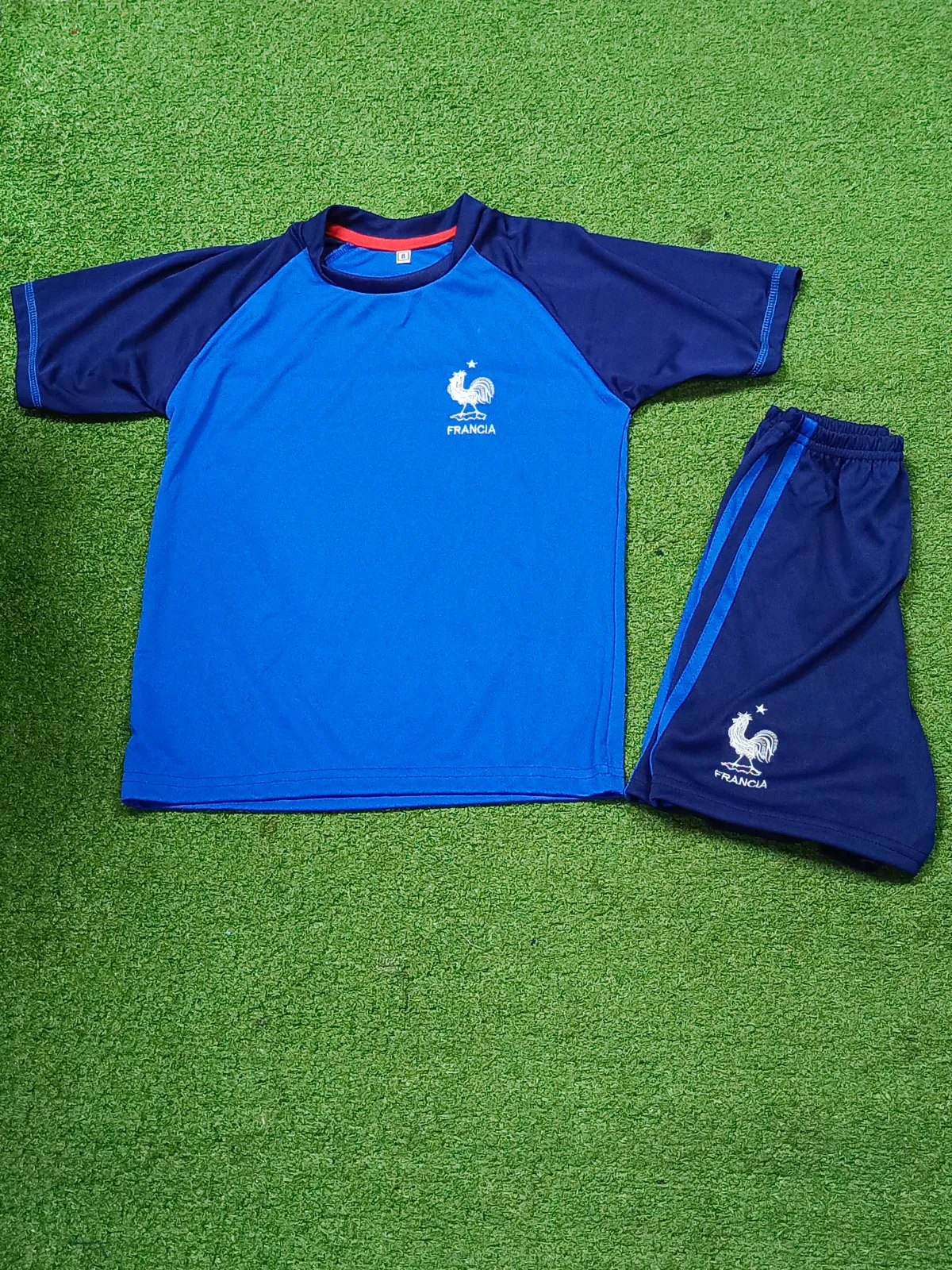 SELECCIÓN DE FRANCIA