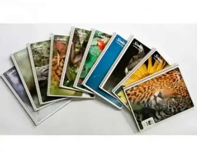 Cuaderno francesa rayada mega 100 hojas espiral  2