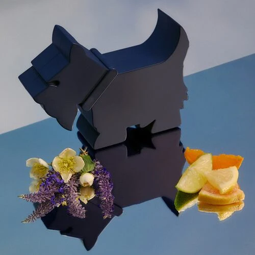 Terrier for him