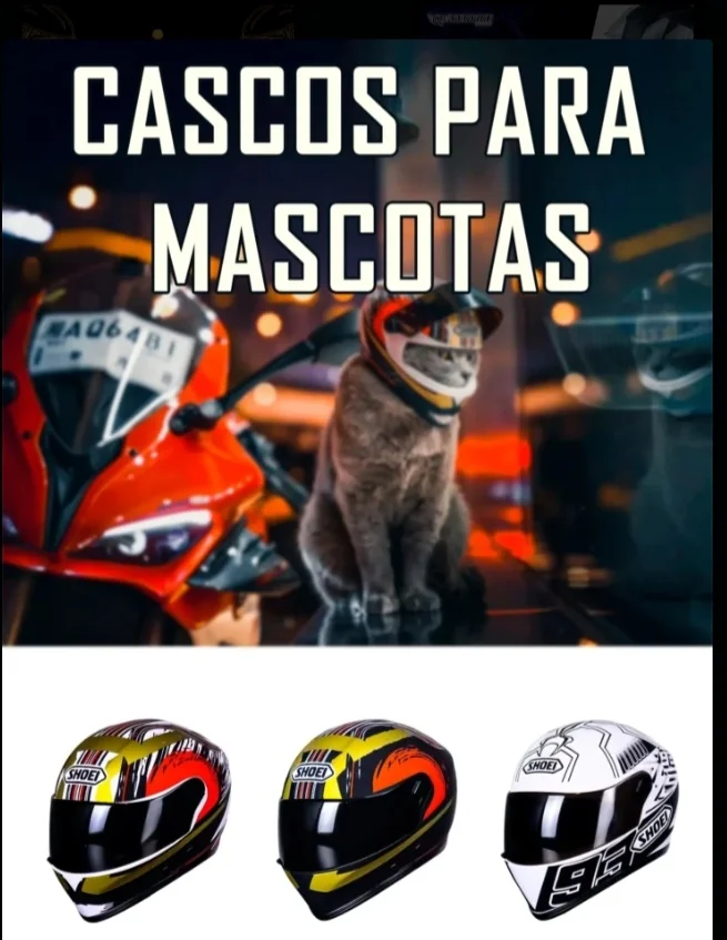 CASCO DE MASCOTAS 