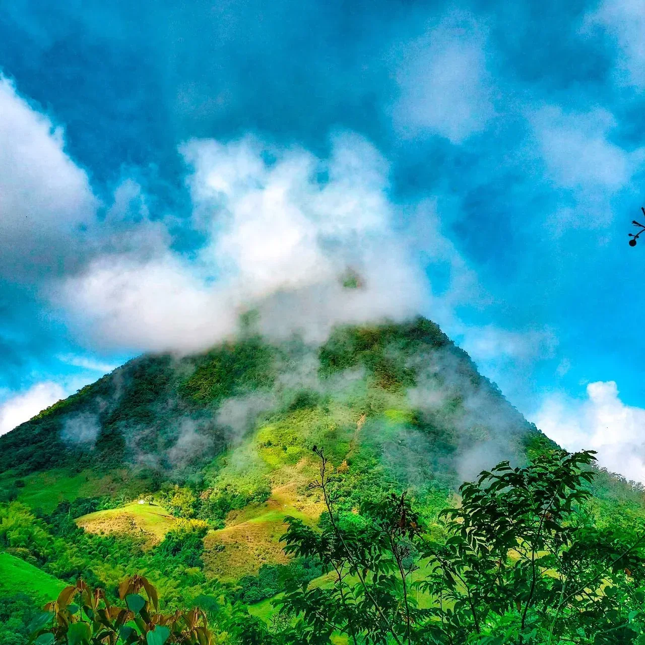 CERRO SILLON Y TUSA ÚNICOS