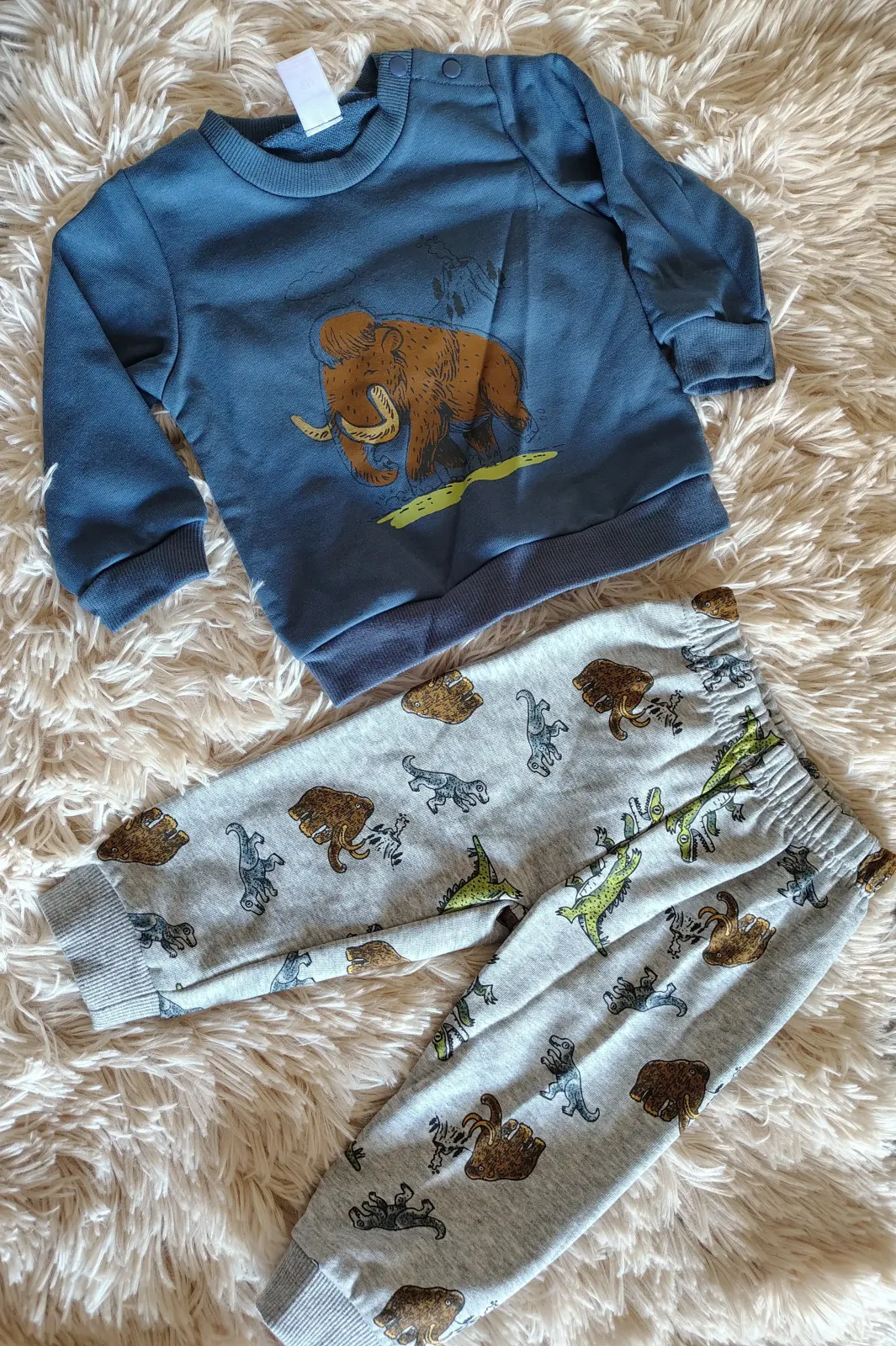 Conjunto 2 piezas rinoceronte