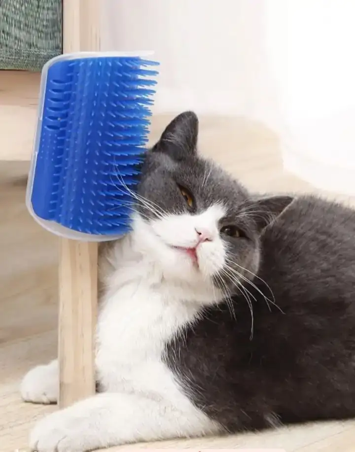 Masajeador de gato