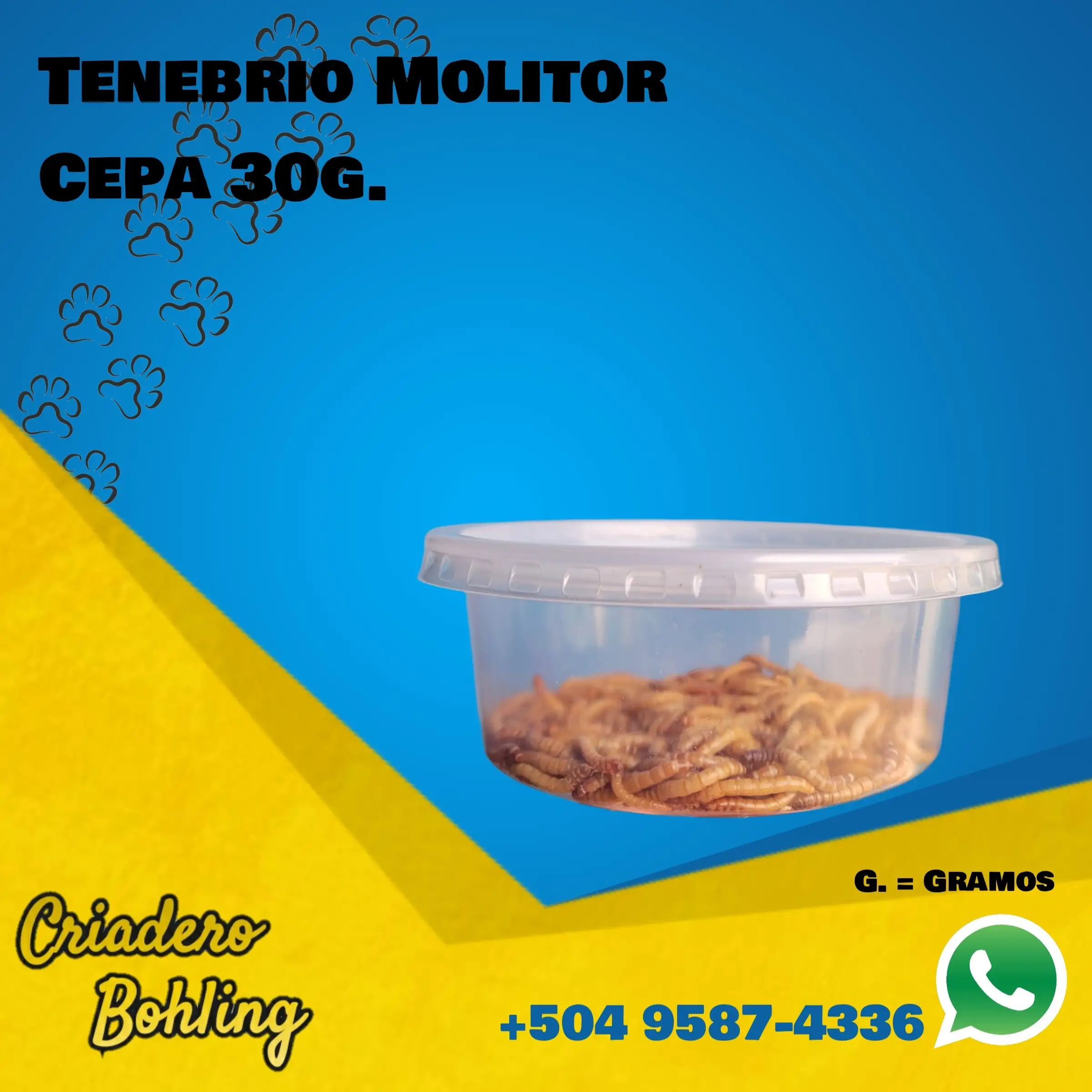 Cepa Tenebrios 30g.