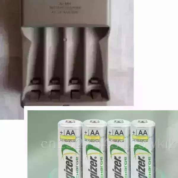 Cargador y pilas recargables