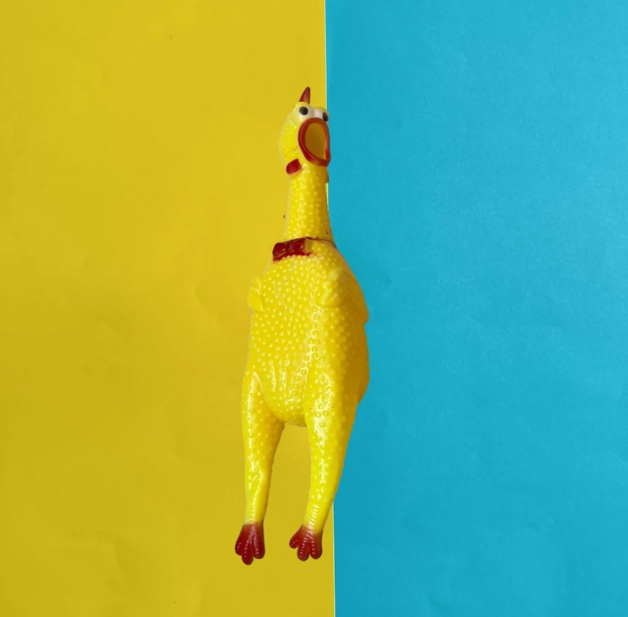 POLLO CHILLÓN GRANDE 
