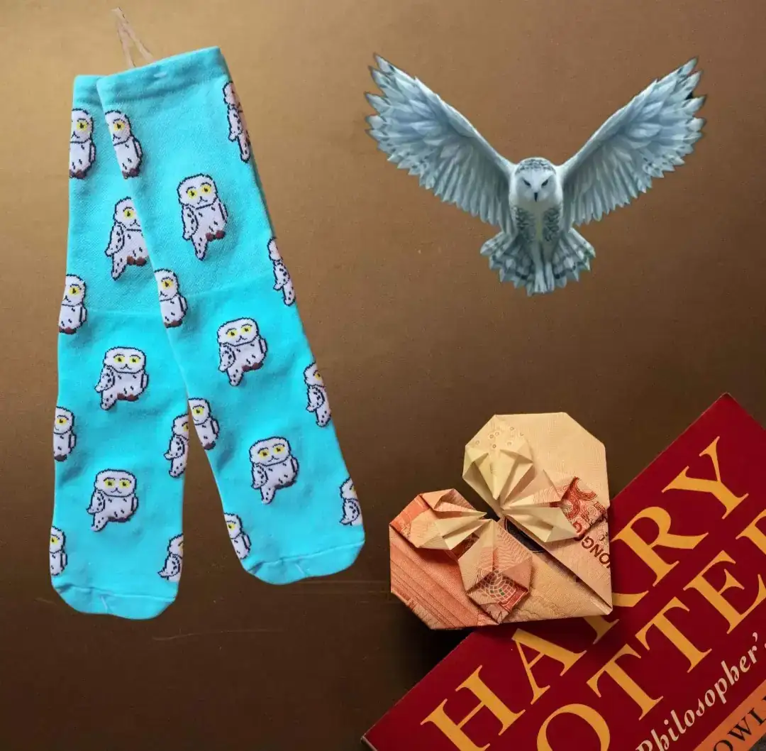 Calcetas Harry Potter  2