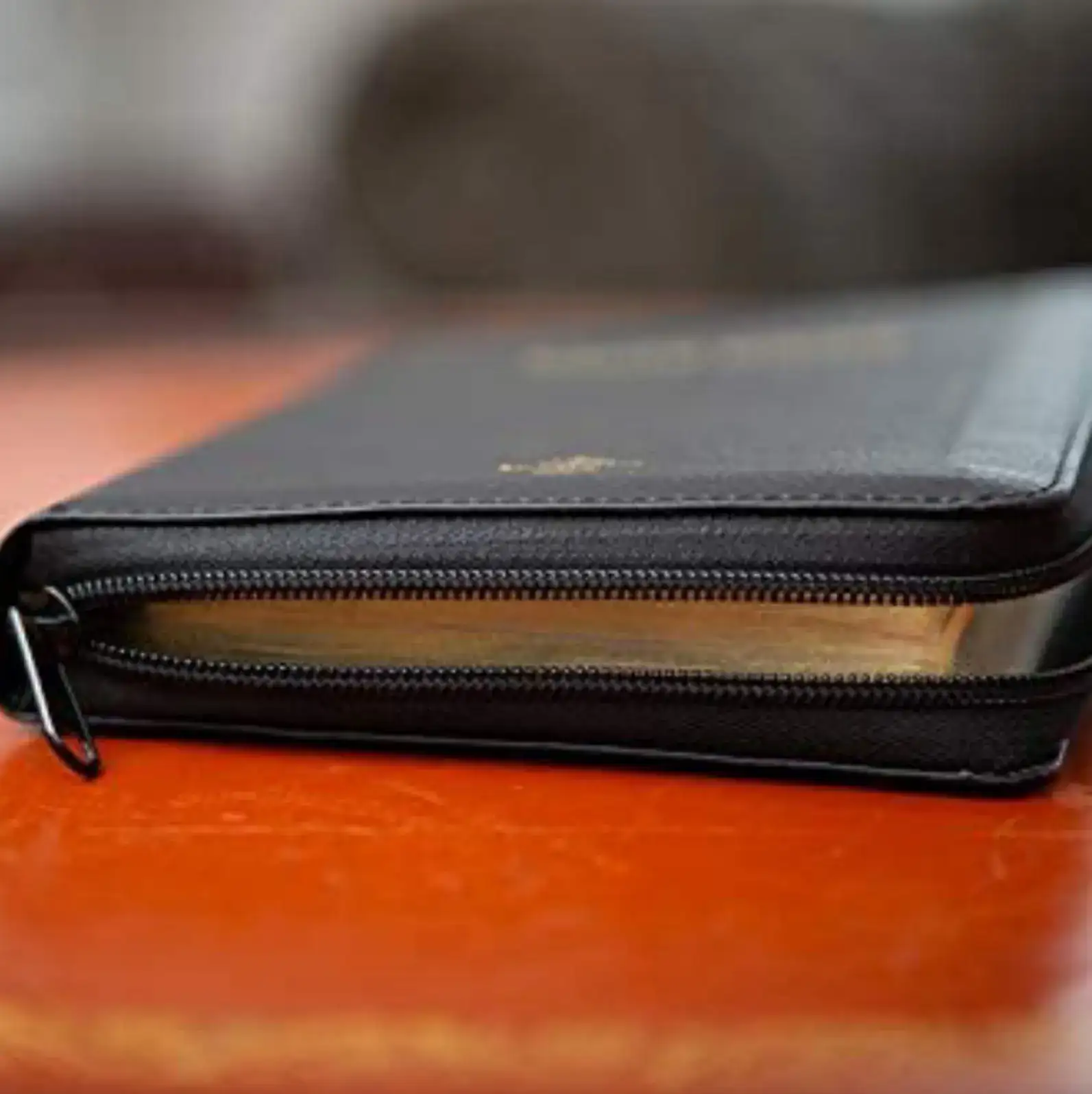 Biblia portátil con cierre RVR60 7
