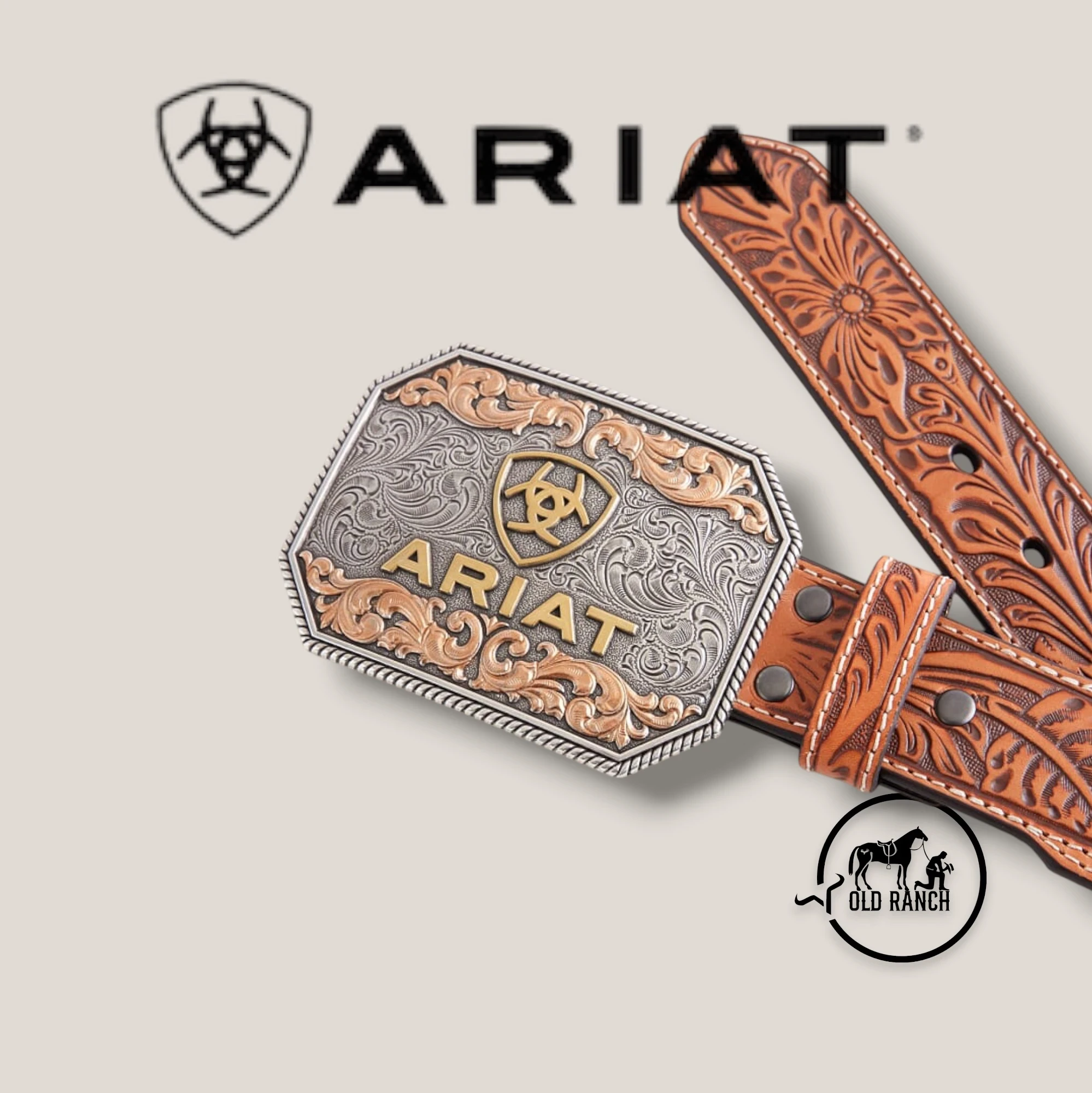 ARIAT 2