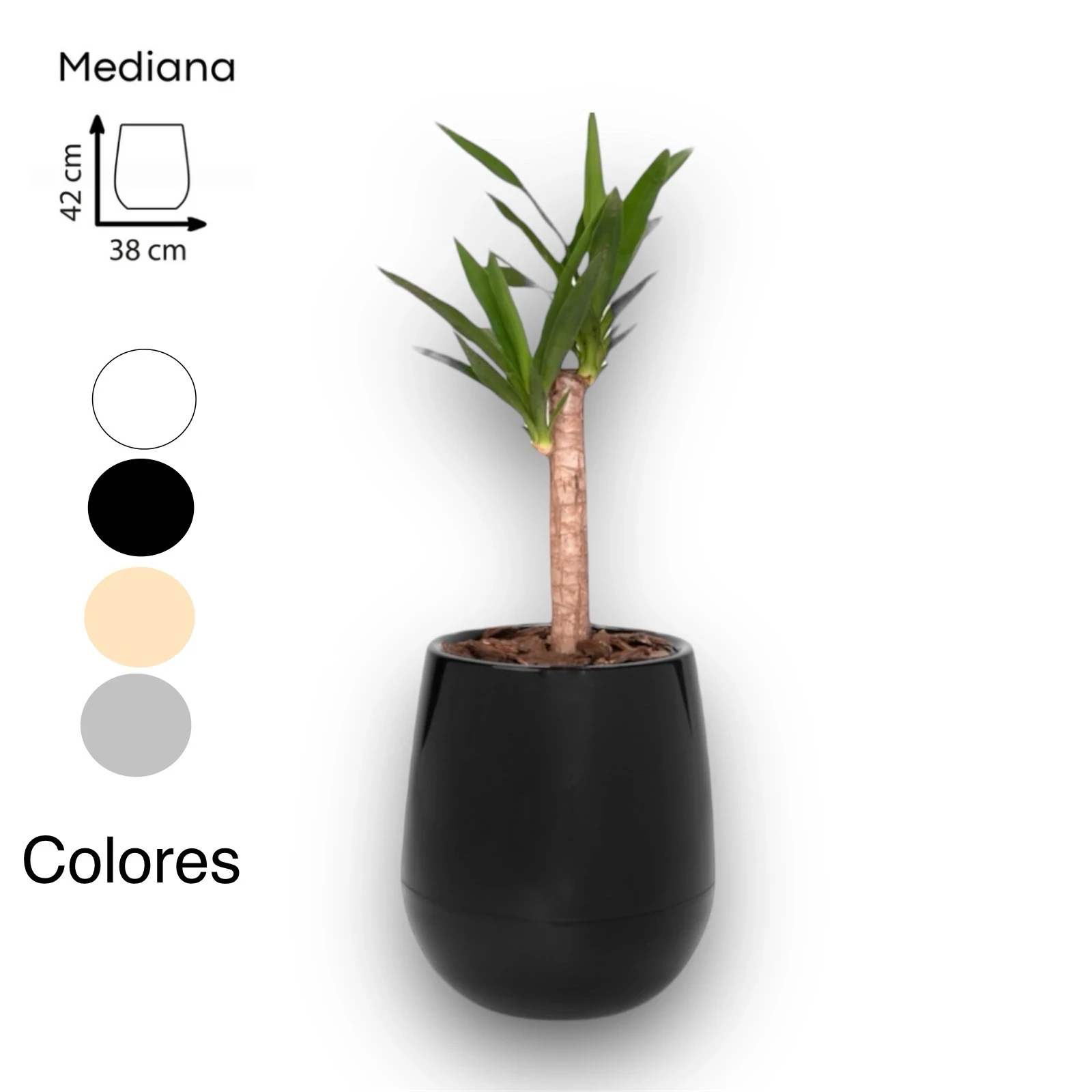 Uovo maceta autoriego mediana N2 