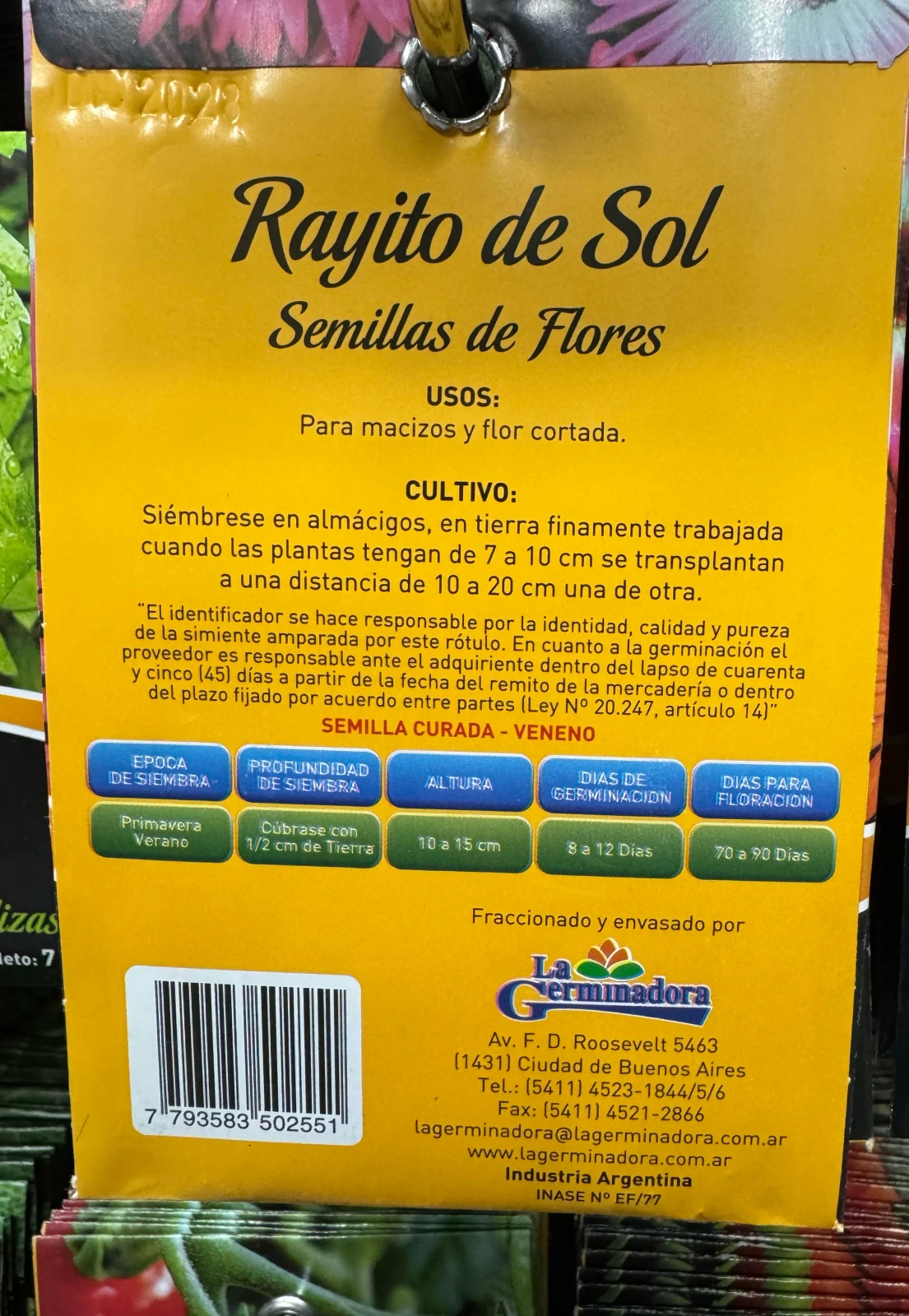 Semillas Rayito de sol  2