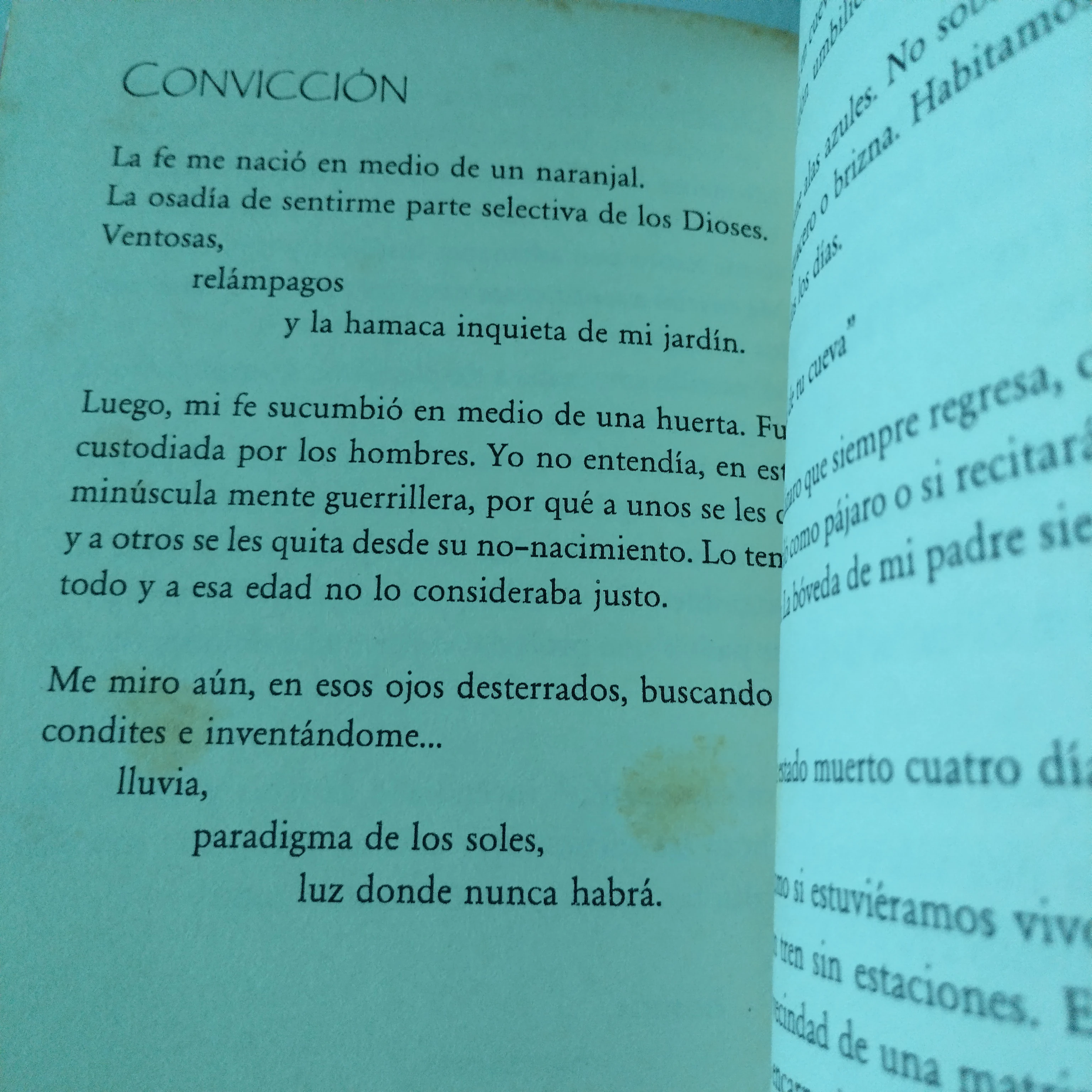 Resabios, Luissiana Naranjo, usado  3