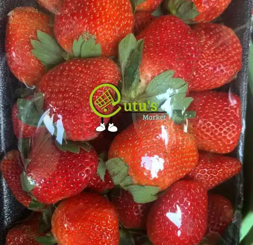 FRESA JUMBO 1LB