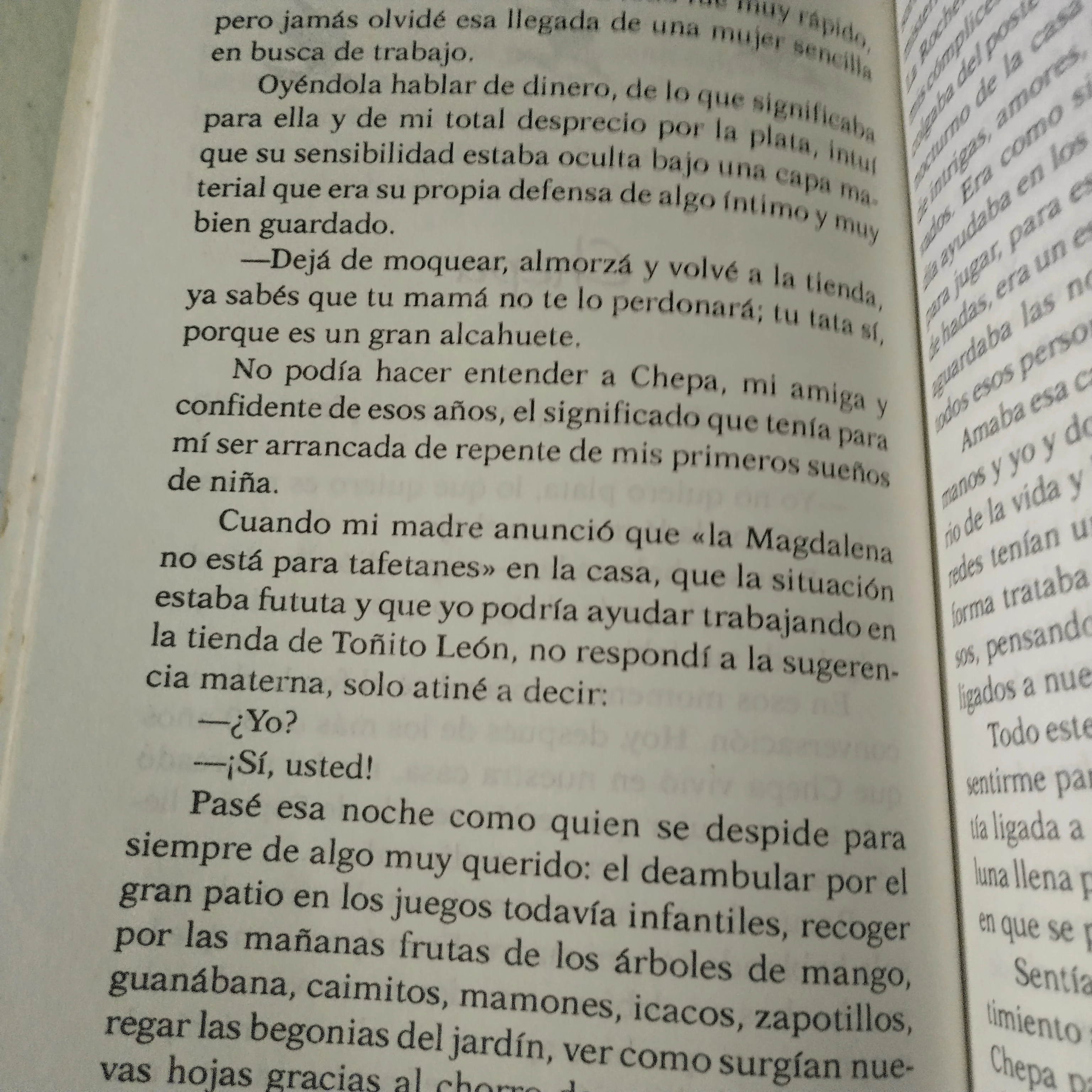Ventana de arena, Elsie Canesa, usado 3