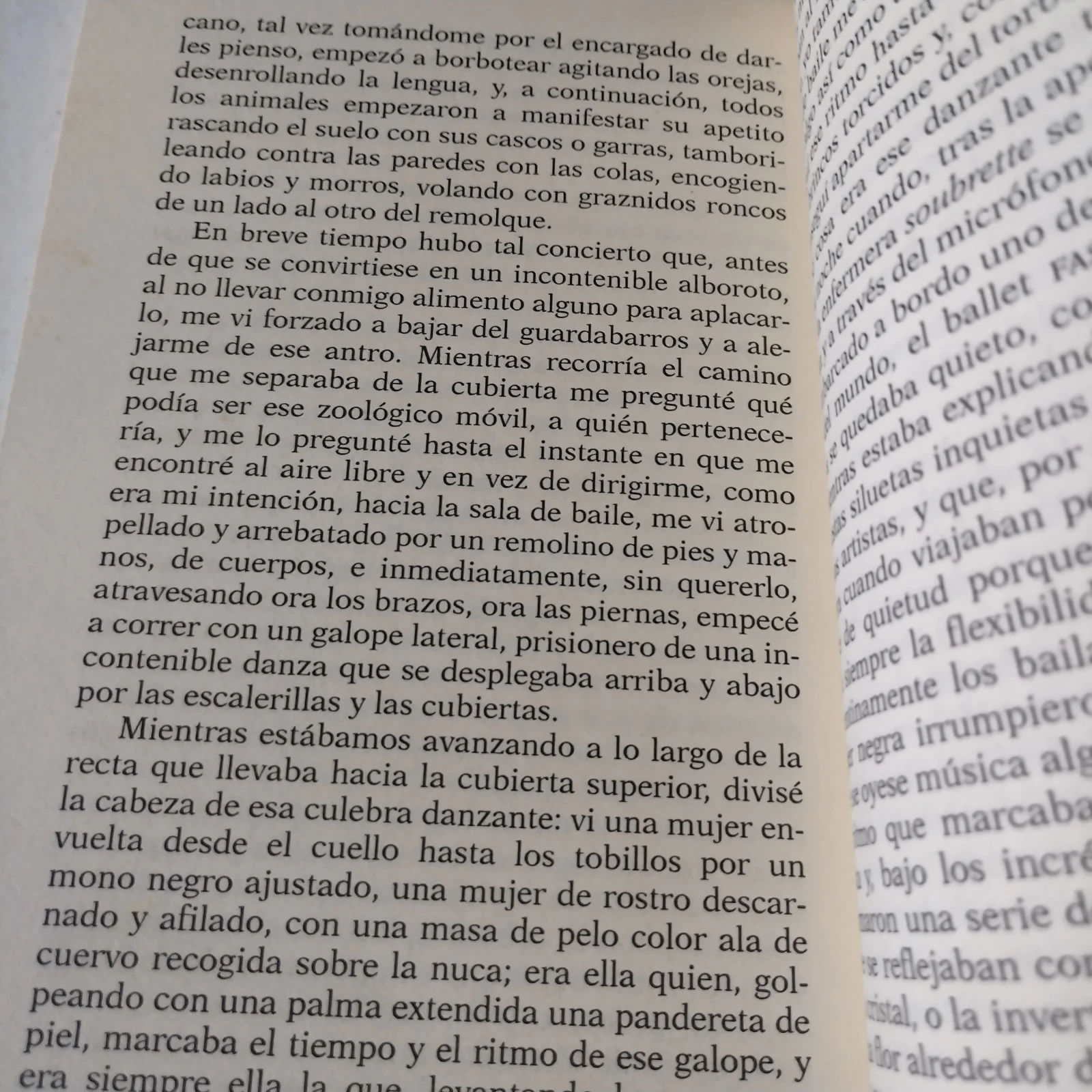 La cabeza en las nubes, Susanna Tamaro, usado  3