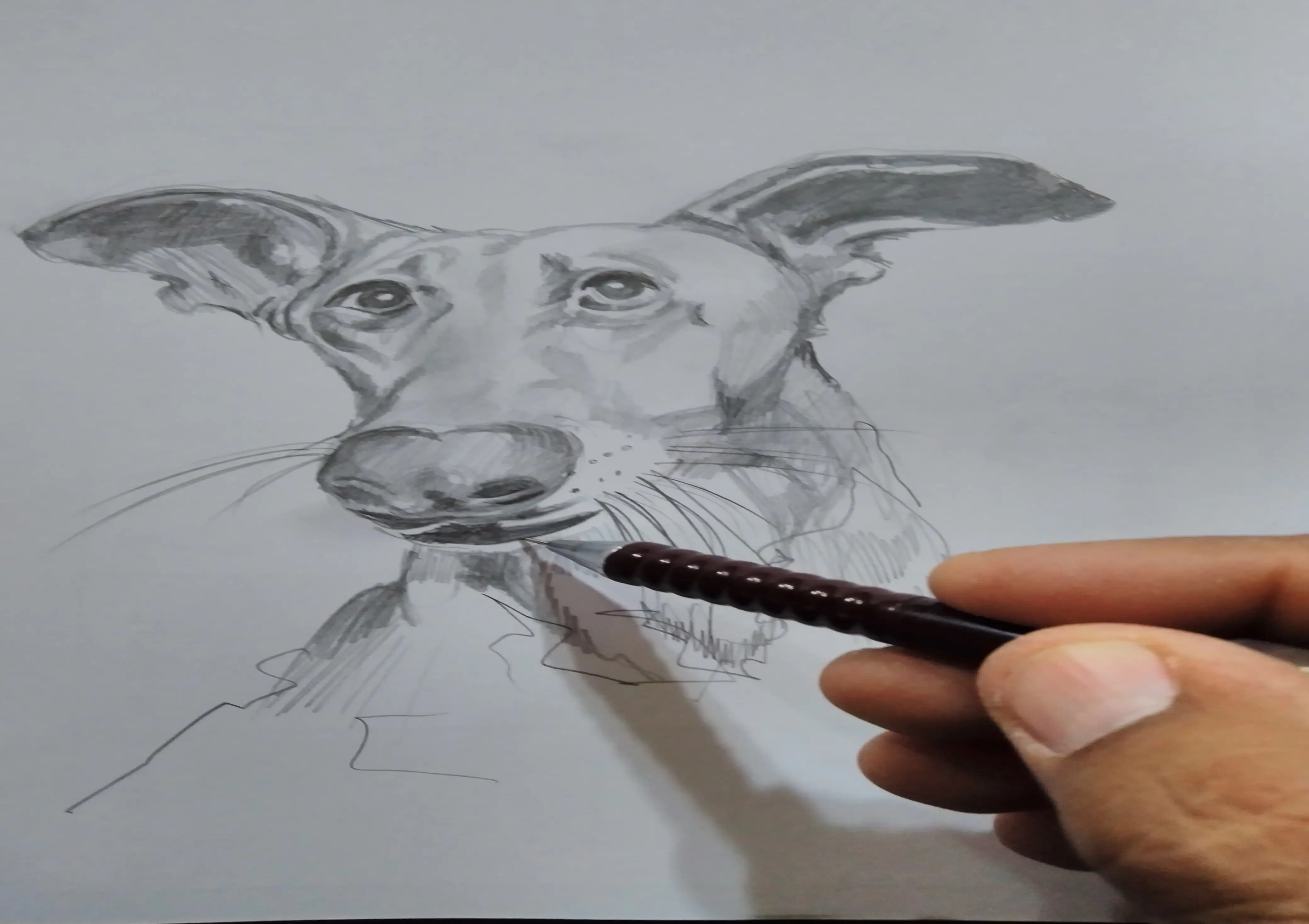 " TU MASCOTA "