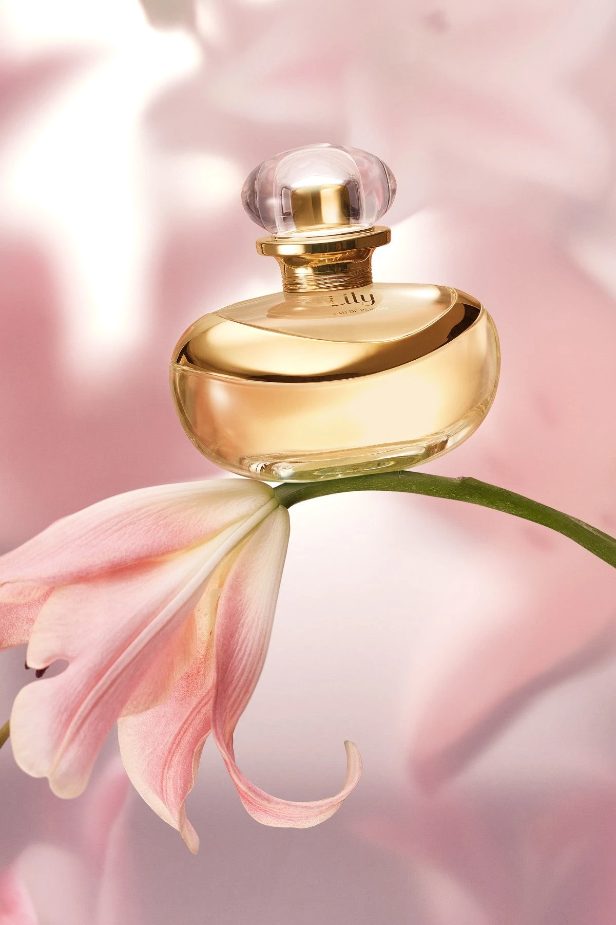 Lily Eau de Parfum, 75ml 3