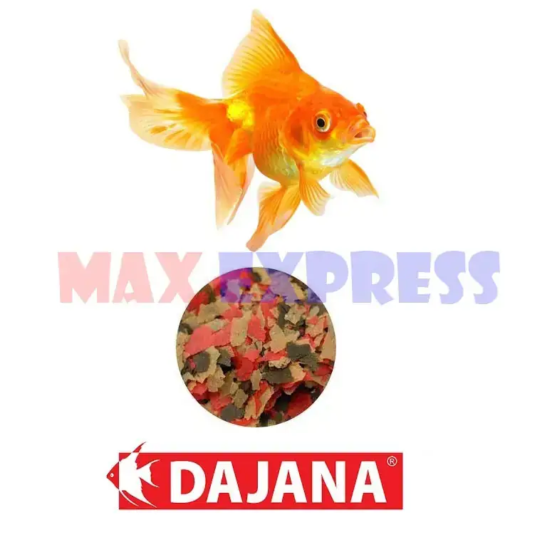 DAJANA GOLD COD. 1088 2