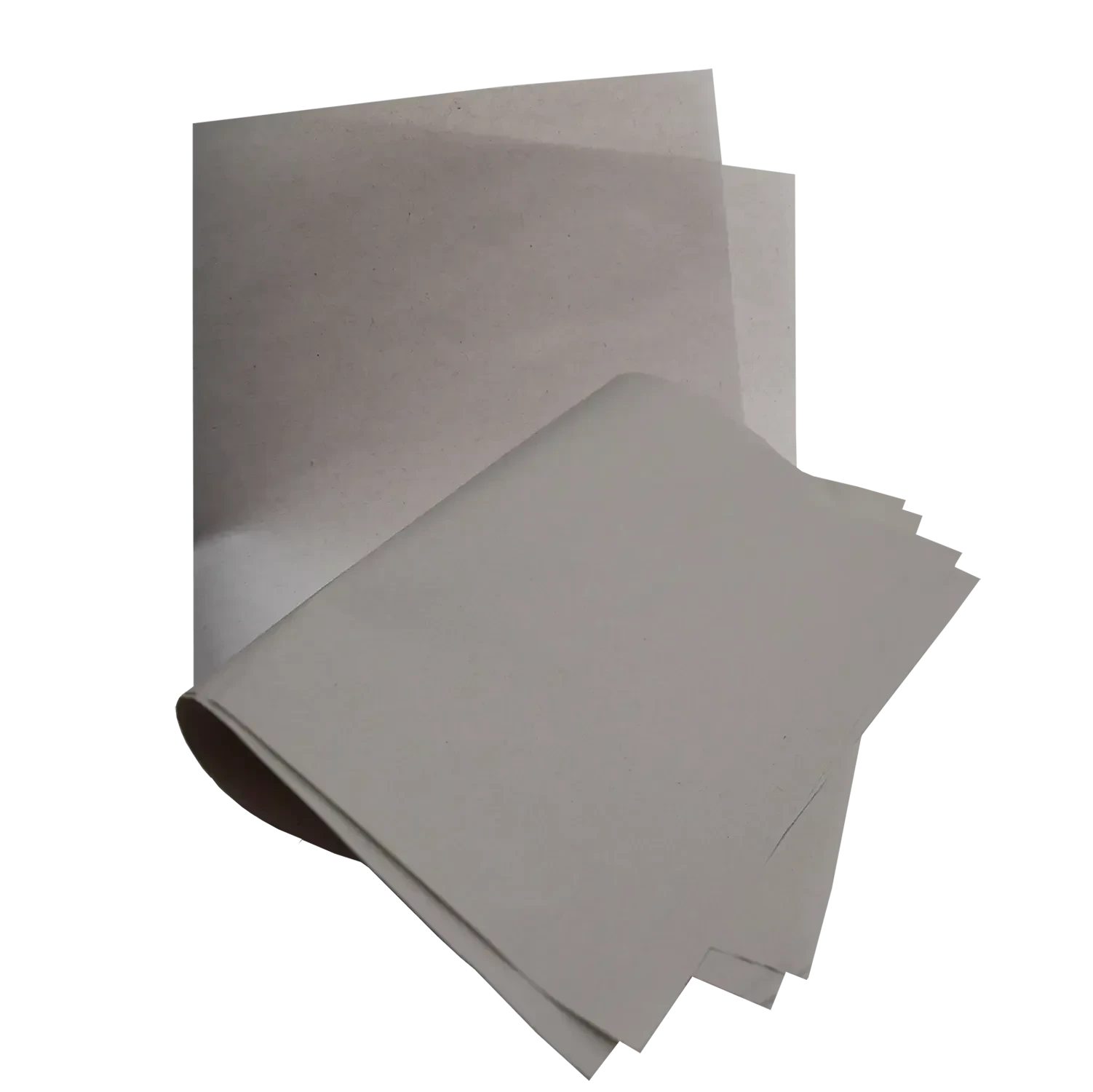 Hoja revolución bolsa con 100 tamaño carta  4