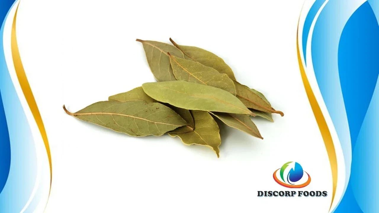 HOJA DE LAUREL