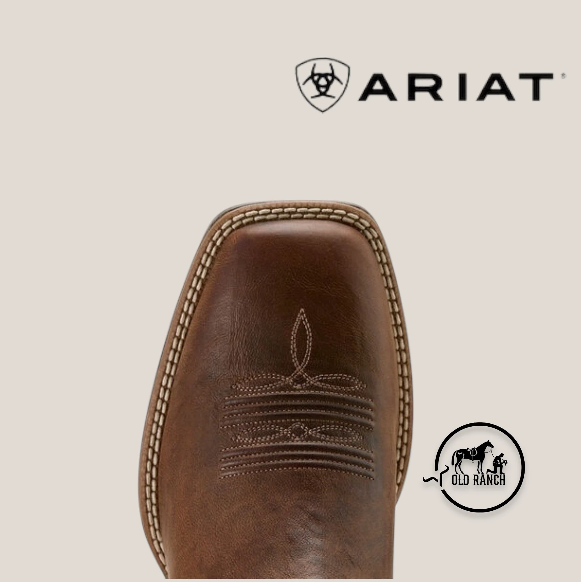 ARIAT 6