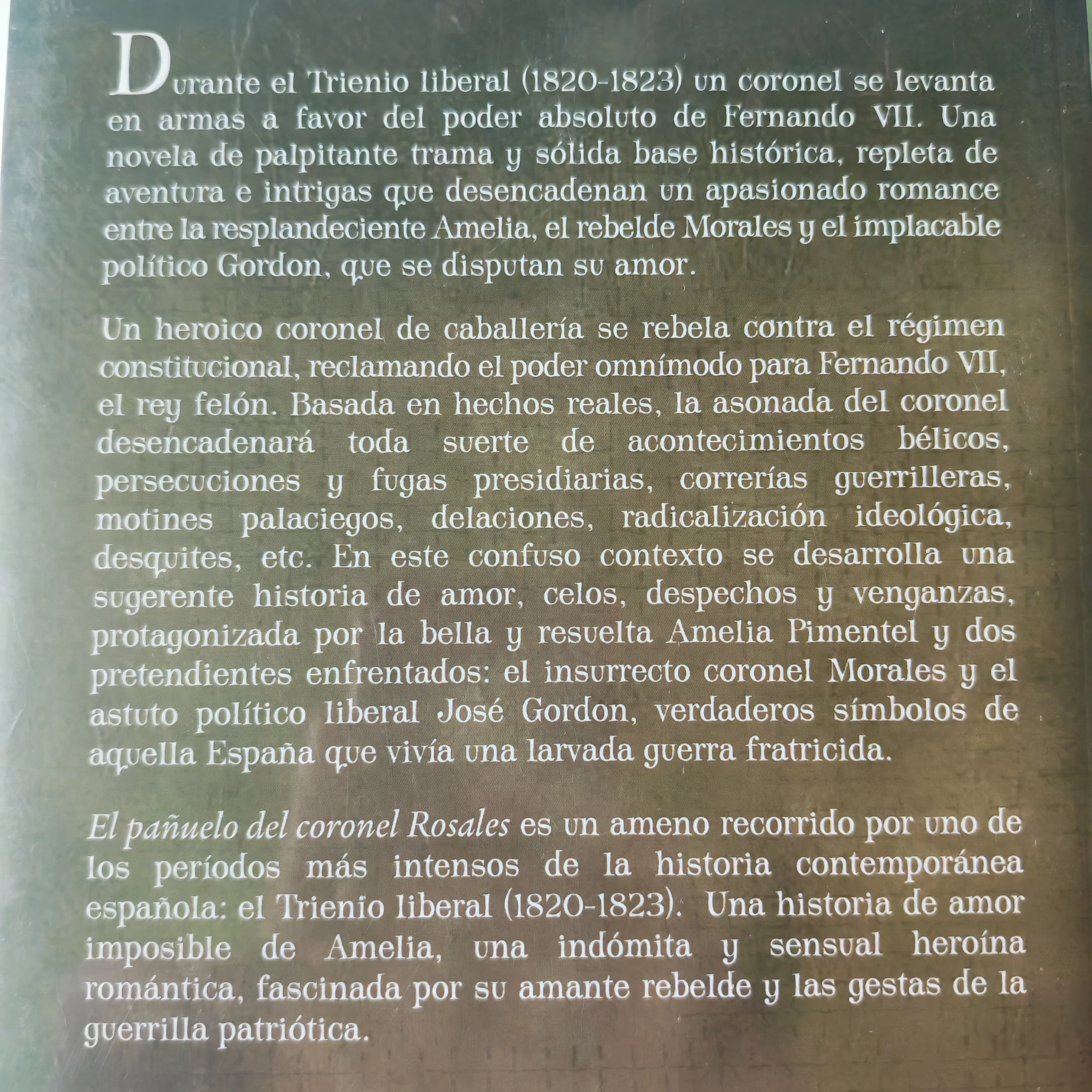 El pañuelo del coronel Rosales Fernando Flores del Manzano  3
