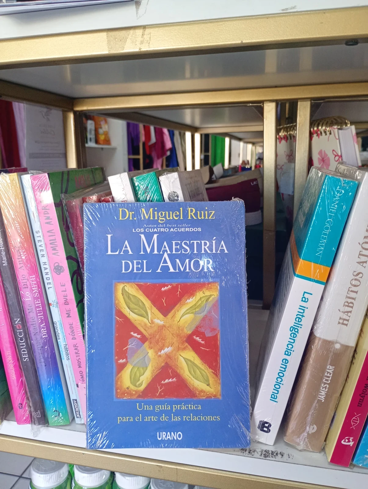 La maestría del amor — Don Miguel Ruiz