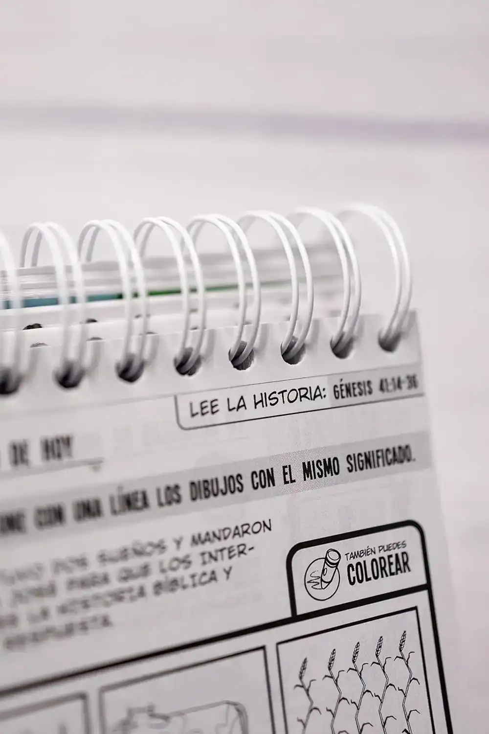 Calendario de actividades para niños 4