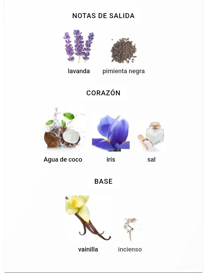 Asad Zanzibar Lattafa Perfumes  2