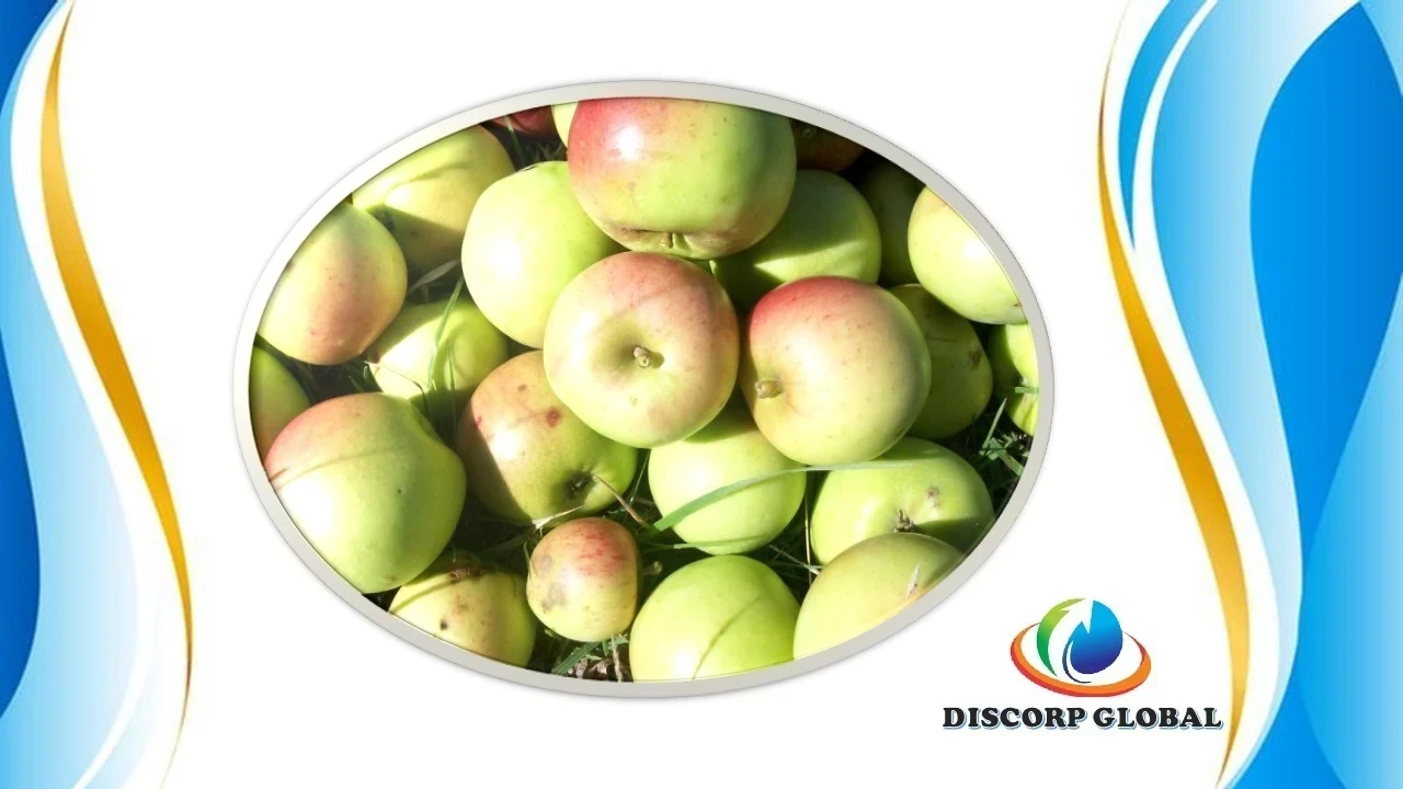 MANZANA VERDE PARA CHICHA