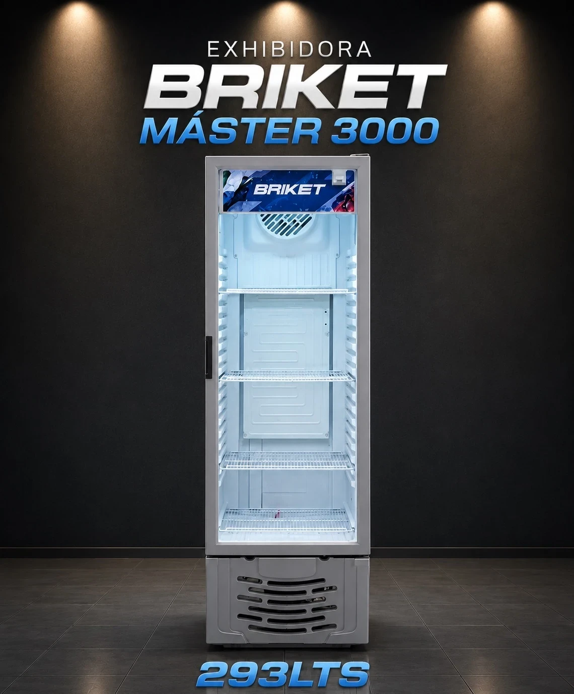 HELADERA EXHIBIDORA BRIKET MASTER 3000 293LTS GRIS