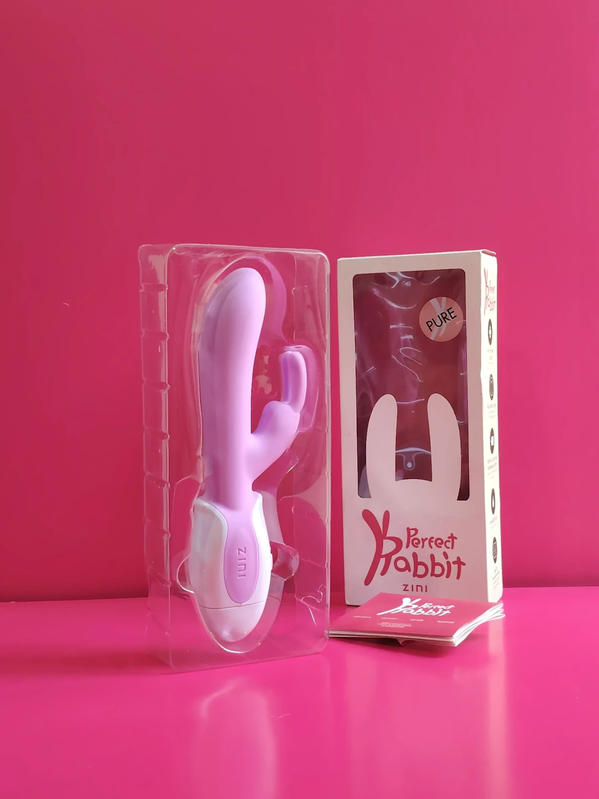 Rabbit 