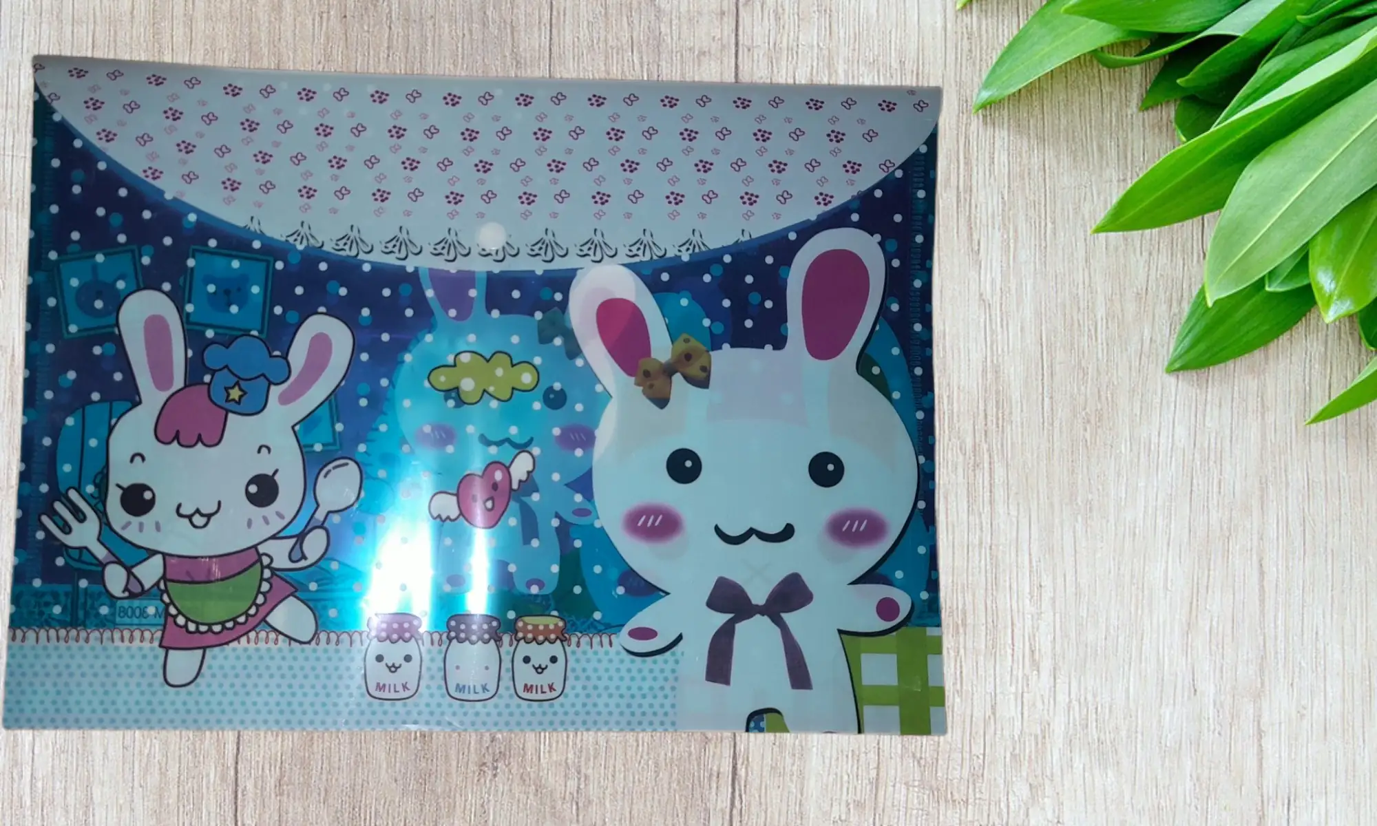 Folder con diseño